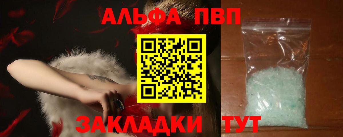 Альфа ПВП СК КРИС Вологда