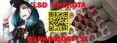 ПСИЛОЦИБИНОВЫЕ ГРИБЫ Кандалакша