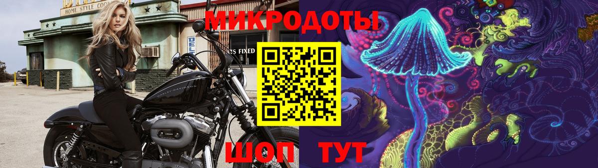 Галлюциногенные грибы Psilocybine cubensis Вологда