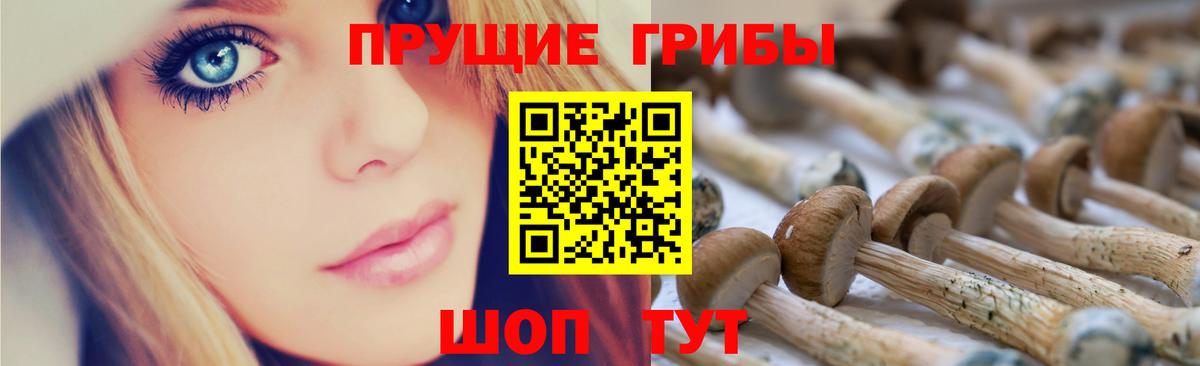 Вологда  Псилоцибиновые грибы Cubensis  Вход с VPN  Псилоцибиновые грибы мухоморы 